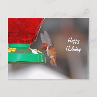 Cartes Pour Fêtes Annuelles Chargeur de colibri et colibri volants