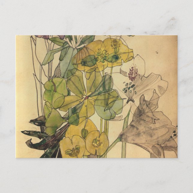 Cartes Pour Fêtes Annuelles Charles Rennie Mackintosh - Spurge With Yham 1909 (Devant)