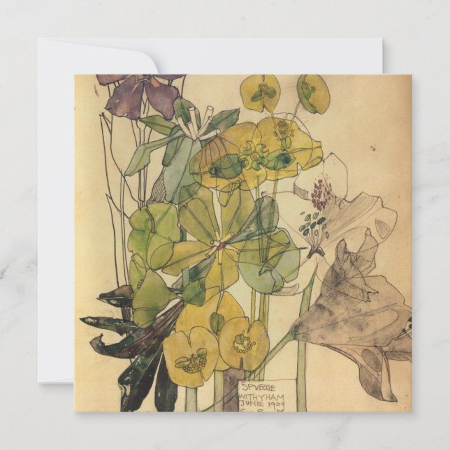 Cartes Pour Fêtes Annuelles Charles Rennie Mackintosh - Spurge With Yham 1909 (Devant)