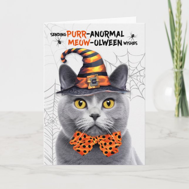 Cartes Pour Fêtes Annuelles Chartreux Halloween Chat PURRanormal MEOWolween (Devant)