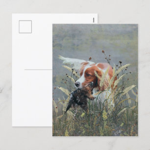 Cartes Pour Fêtes Annuelles Chasse avec Epagneul Breton