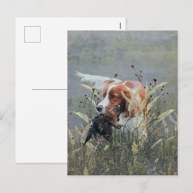 Cartes Pour Fêtes Annuelles Chasse avec Epagneul Breton (Devant / Derrière)