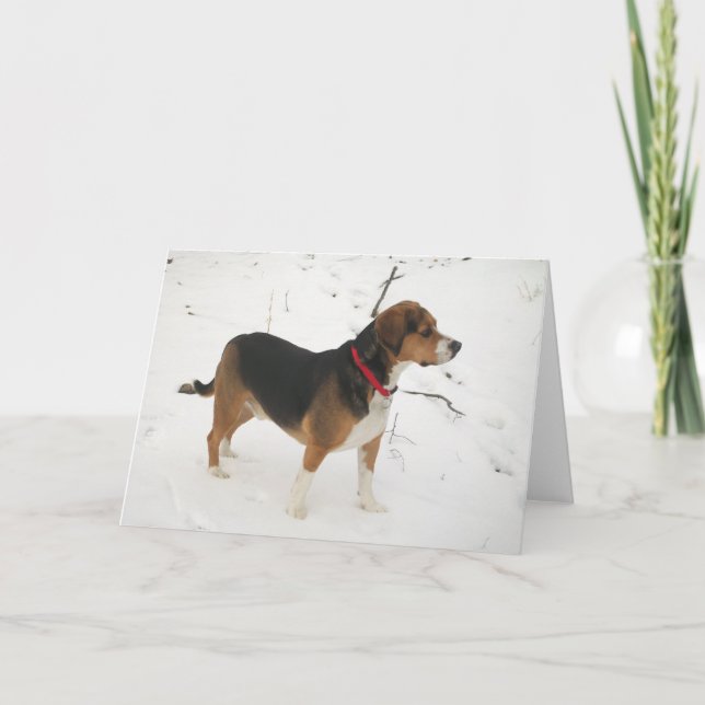 Cartes Pour Fêtes Annuelles Chasse de chien de beagle dans le tonnelier de (Devant)