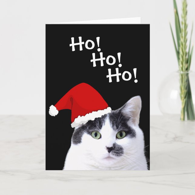 Cartes Pour Fêtes Annuelles Chat à Santa Hat Noël (Devant)