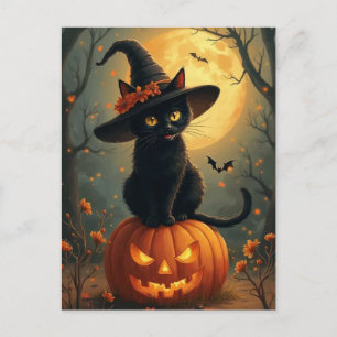 Cartes Pour Fêtes Annuelles Chat À Sorcière Halloween Sur Un Citrouille