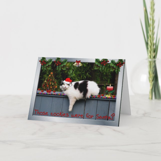 Cartes Pour Fêtes Annuelles Chat affectueux de biscuit (Devant)