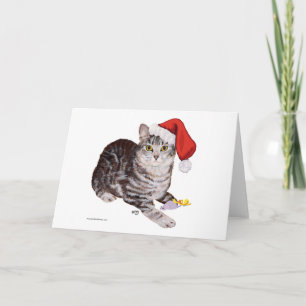 Cartes Pour Fêtes Annuelles Chat américain à poil court tabby - Noël