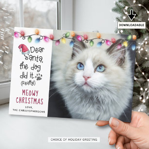 Cartes Pour Fêtes Annuelles Chat amusant CHER PÈRE NOËL Lumières de Noël Photo