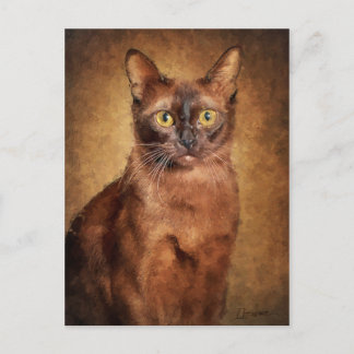 Cartes Pour Fêtes Annuelles Chat birman Brown