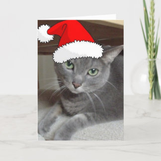 Cartes Pour Fêtes Annuelles Chat bleu russe de Noël