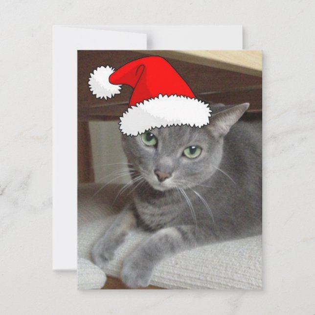 Cartes Pour Fêtes Annuelles Chat bleu russe de Noël (Devant)