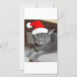 Cartes Pour Fêtes Annuelles Chat bleu russe de Noël