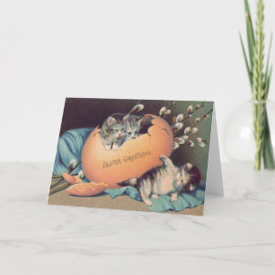 Cartes Pour Fêtes Annuelles Chat Chaton Pâques Oeuf Coloré Coton