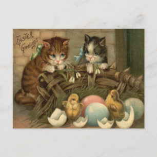 Cartes Pour Fêtes Annuelles Chat Chaton Pâques Oeuf Coloré Peint Poussin