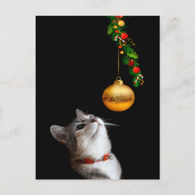 Cartes Pour Fêtes Annuelles Chat chaton testé Noël (Devant)