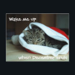 Cartes Pour Fêtes Annuelles Chat couché à Santa Hat<br><div class="desc">Fatigué,  le chaton grincheux en a marre de l'agitation et des festivités bruyantes et veut dormir à travers tout.</div>