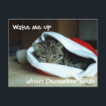 Cartes Pour Fêtes Annuelles Chat couché à Santa Hat<br><div class="desc">Fatigué,  le chaton grincheux en a marre de l'agitation et des festivités bruyantes et veut dormir à travers tout.</div>