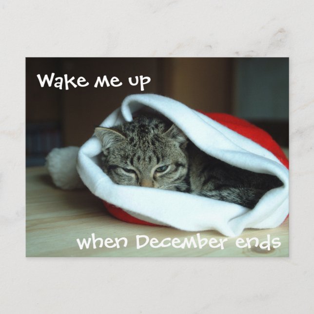 Cartes Pour Fêtes Annuelles Chat couché à Santa Hat (Devant)