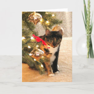 Cartes Pour Fêtes Annuelles Chat de calicot sous l'arbre de Noël, intérieur