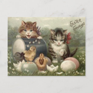 Cartes Pour Fêtes Annuelles Chat de chaton coloré par poussin d'oeufs de