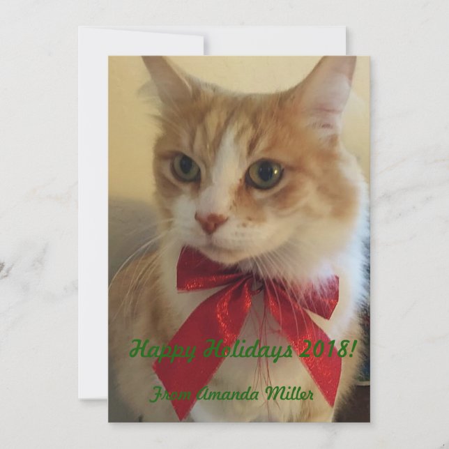 Cartes Pour Fêtes Annuelles Chat de gingembre avec ruban rouge Noël (Devant)