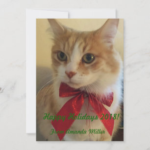 Cartes Pour Fêtes Annuelles Chat de gingembre avec ruban rouge Noël