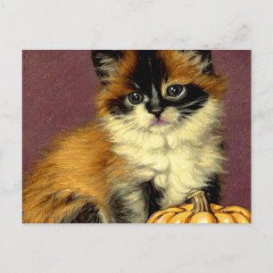 Cartes Pour Fêtes Annuelles Chat de Halloween Ragdoll vintage