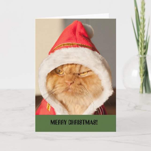 Cartes Pour Fêtes Annuelles Chat de Joyeux Noël (Devant)