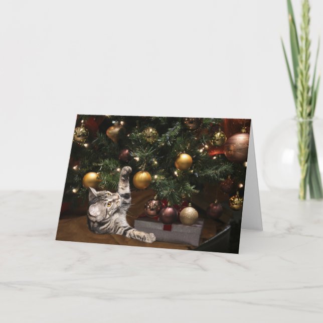 Cartes Pour Fêtes Annuelles chat de Noël (Devant)