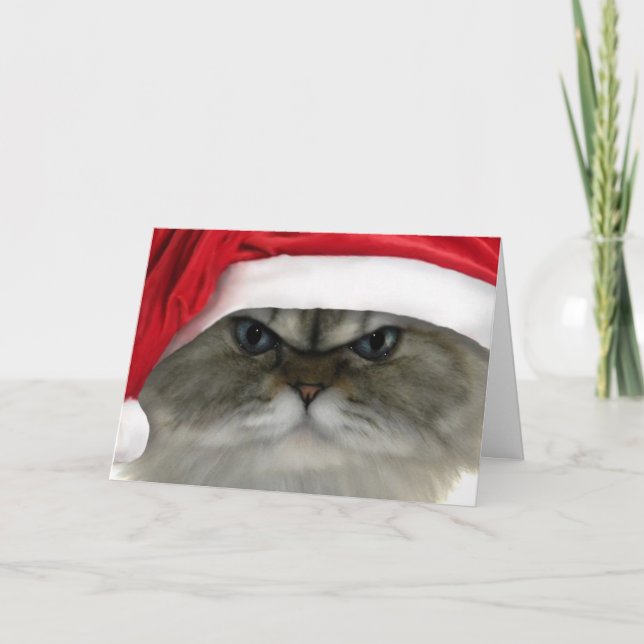 Cartes Pour Fêtes Annuelles Chat de Noël (Devant)