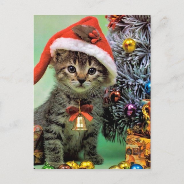 Cartes Pour Fêtes Annuelles Chat de Noël (Devant)