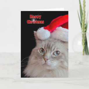 Cartes Pour Fêtes Annuelles Chat de Noël