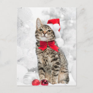 Cartes Pour Fêtes Annuelles Chat de Noël à Red Père Noël Casquette près de Noë