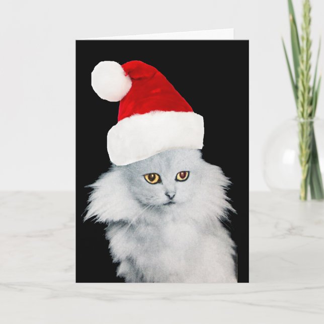CARTES POUR FÊTES ANNUELLES CHAT DE NOËL BLANC AVEC CASQUETTE SANTA CLAUS (Devant)