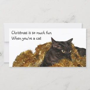 Cartes Pour Fêtes Annuelles Chat de Noël noir