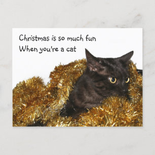 Cartes Pour Fêtes Annuelles Chat de Noël noir