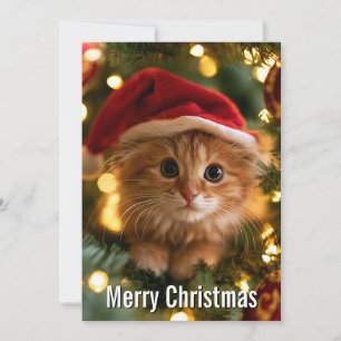 Cartes Pour Fêtes Annuelles Chat de Noël orange drôle et mignon