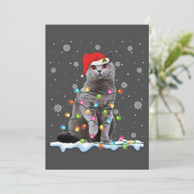 Cartes Pour Fêtes Annuelles Chat de Noël Père Noël Chat British Shorthair Amou (Debout devant)