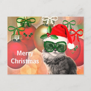 Cartes Pour Fêtes Annuelles Chat de Noël sur un arrière - plan de bal de Noël