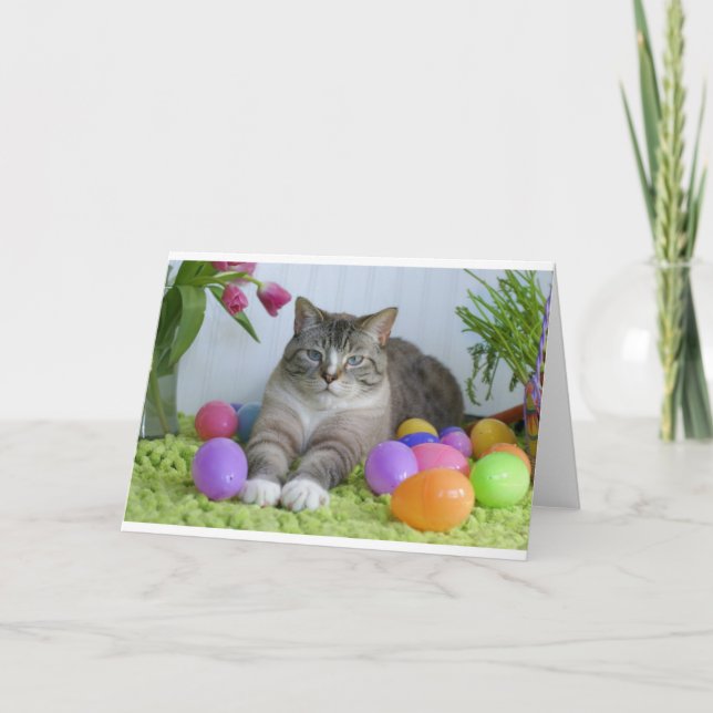 Cartes Pour Fêtes Annuelles Chat de Pâques (Devant)