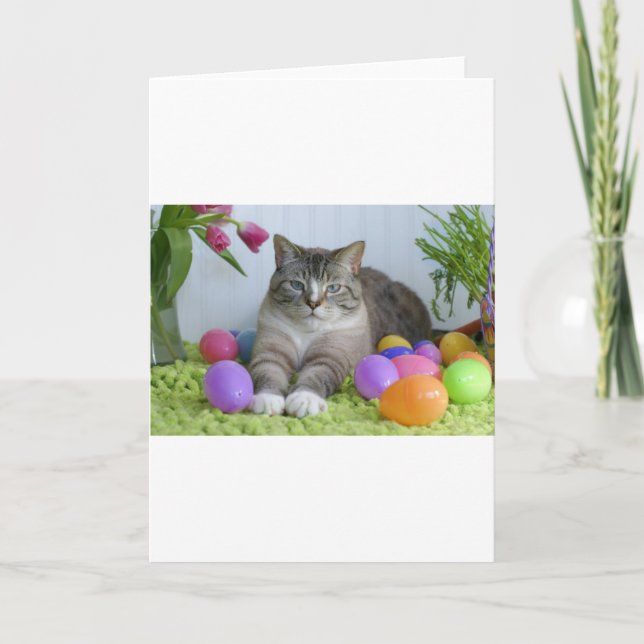 Cartes Pour Fêtes Annuelles Chat de Pâques (Devant)