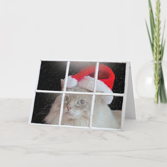 Cartes Pour Fêtes Annuelles Chat de poupée de Noël dans la fenêtre (Devant)