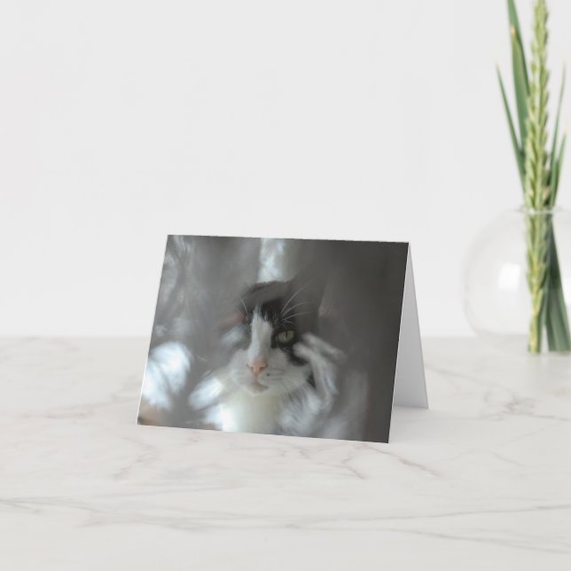 Cartes Pour Fêtes Annuelles Chat de smoking par des branches (Devant)
