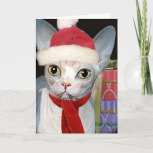 Cartes Pour Fêtes Annuelles Chat de Sphynx Père Noël