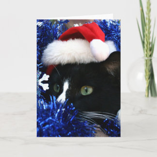 Cartes Pour Fêtes Annuelles Chat de tuxède noir et blanc - casquette de noël