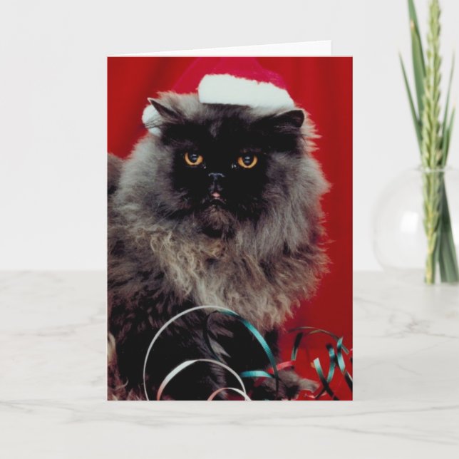 Cartes Pour Fêtes Annuelles Chat de vacances (Devant)