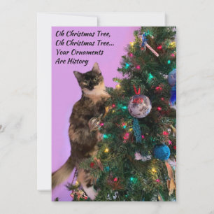 Cartes Pour Fêtes Annuelles Chat drôle dans l'arbre regardant les ornements de