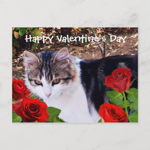 CARTES POUR FÊTES ANNUELLES CHAT DU JOUR DE VALENTINE AVEC ROSES ROUGES