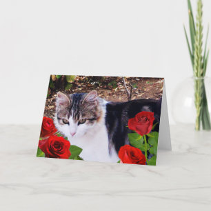 CARTES POUR FÊTES ANNUELLES CHAT DU JOUR DE VALENTINE AVEC ROSES ROUGES
