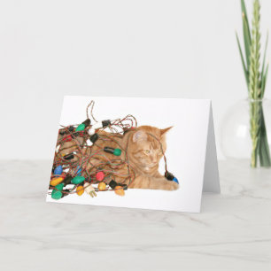 Cartes Pour Fêtes Annuelles Chat enchevêtré dans les lumières de Noël